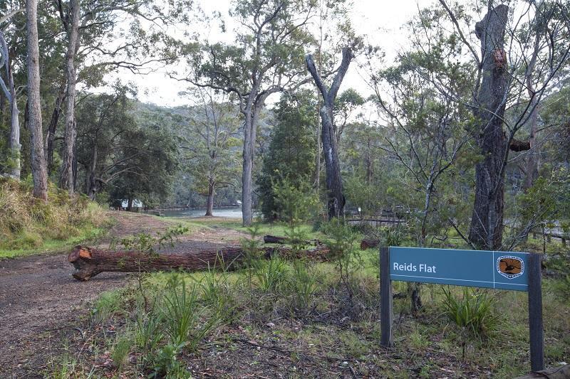 Royal National Park Cottages Engadine Esterno foto